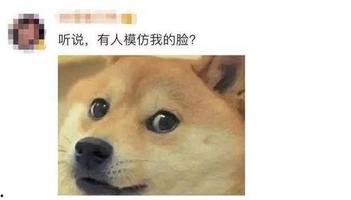 微信表情吃瓜是什么意思,揭秘微信表情“吃瓜”背后的趣味与内涵