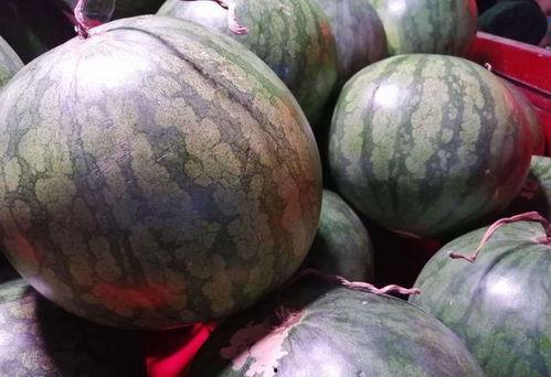 娱乐圈吃瓜买西瓜