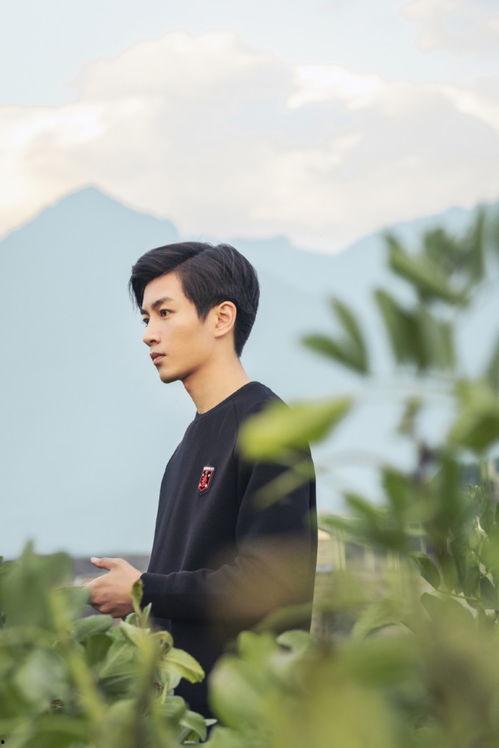 娱乐圈吃瓜陈晓是谁,娱乐圈吃瓜达人，揭秘明星幕后故事