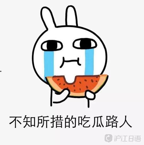 胡扯娱乐吃瓜,揭秘娱乐圈吃瓜背后的真相