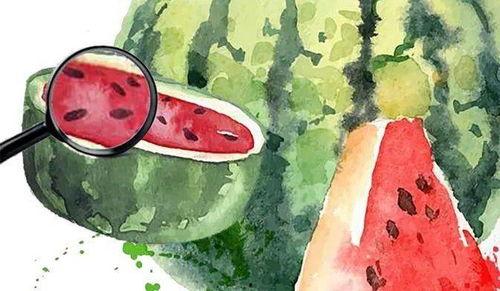 娱乐吃瓜场地有哪些,热门吃瓜场地大盘点